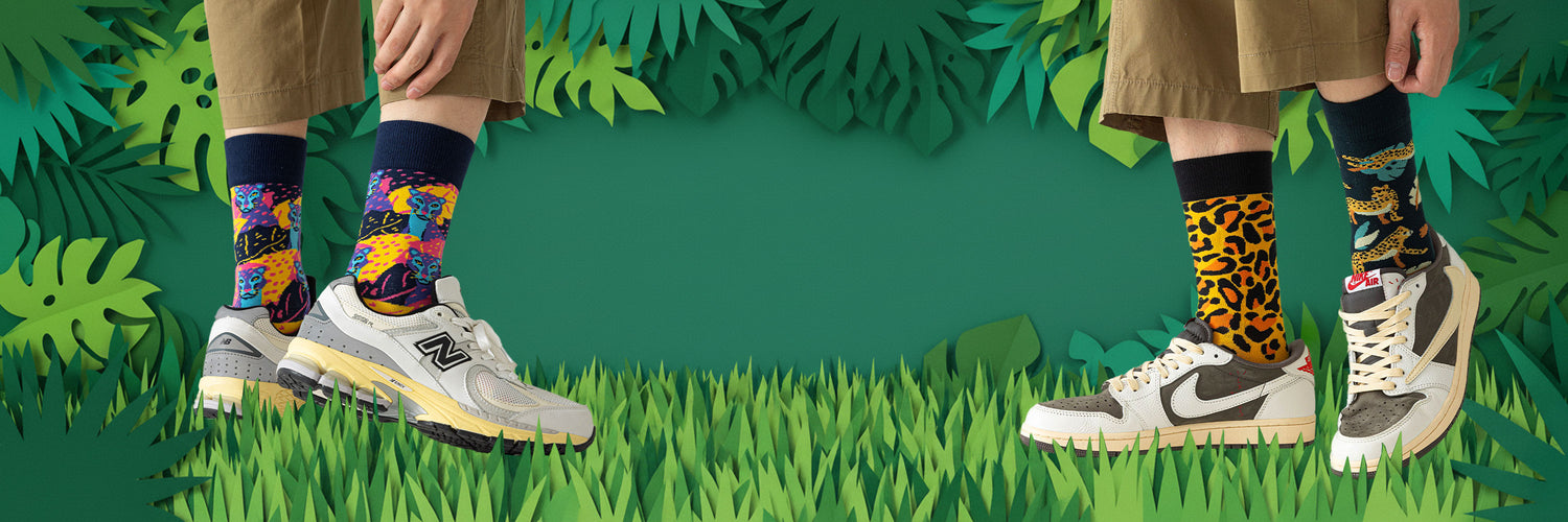 collection-banner-image