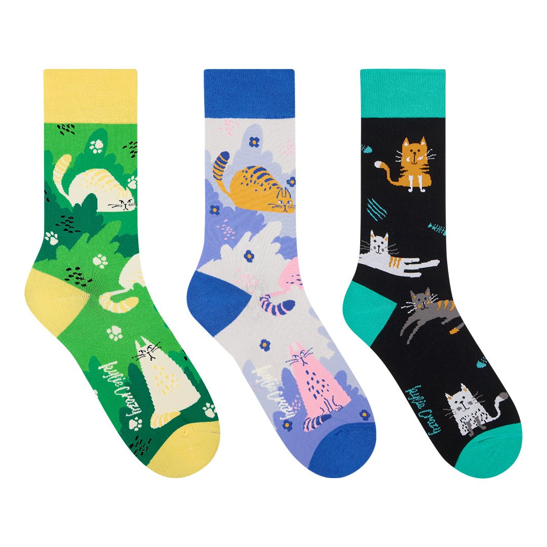 Original pack regalo con 3 pares diferentes de calcetines + cajita regalo GATOS - Kylie Crazy