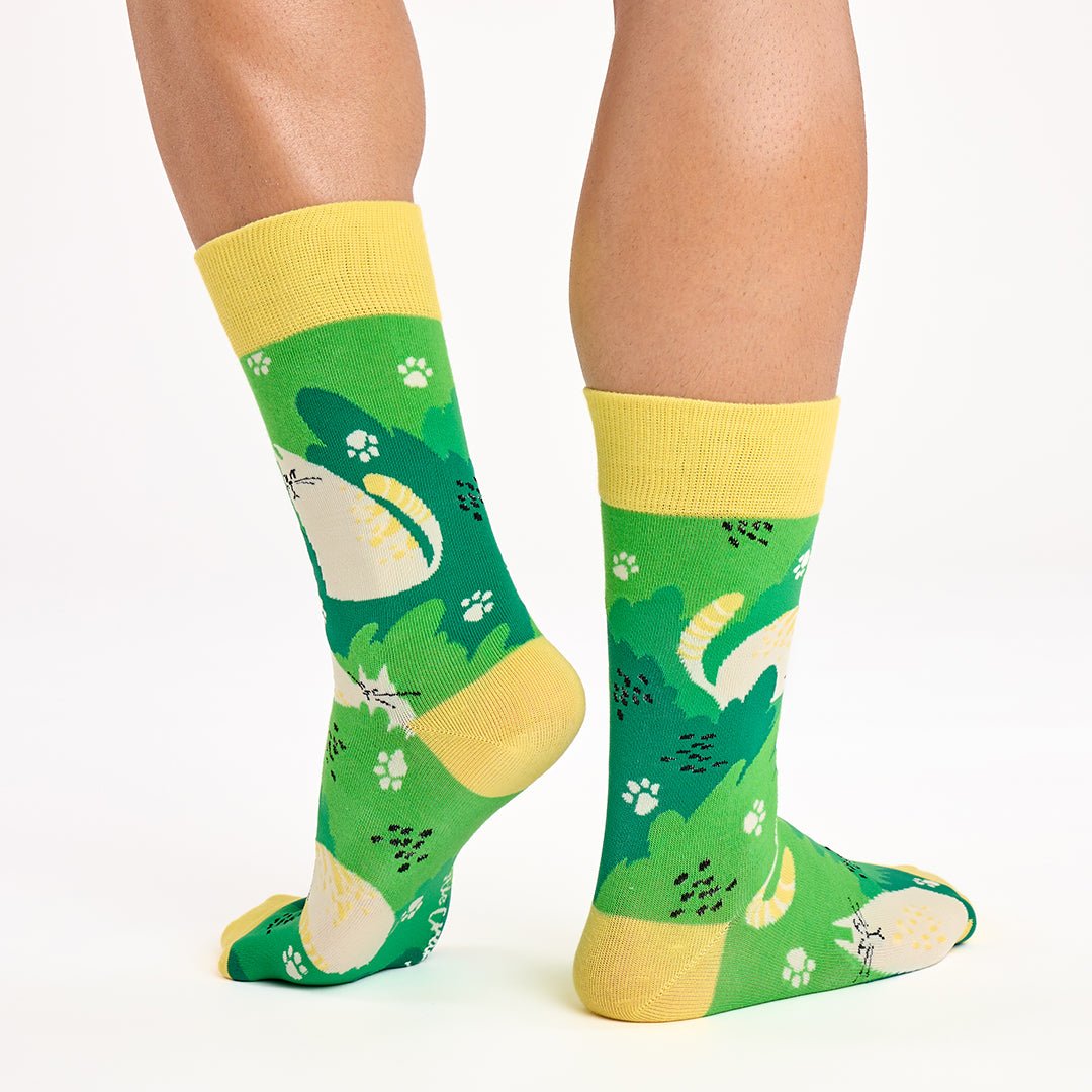 Original pack regalo con 3 pares diferentes de calcetines + cajita regalo GATOS - Kylie Crazy