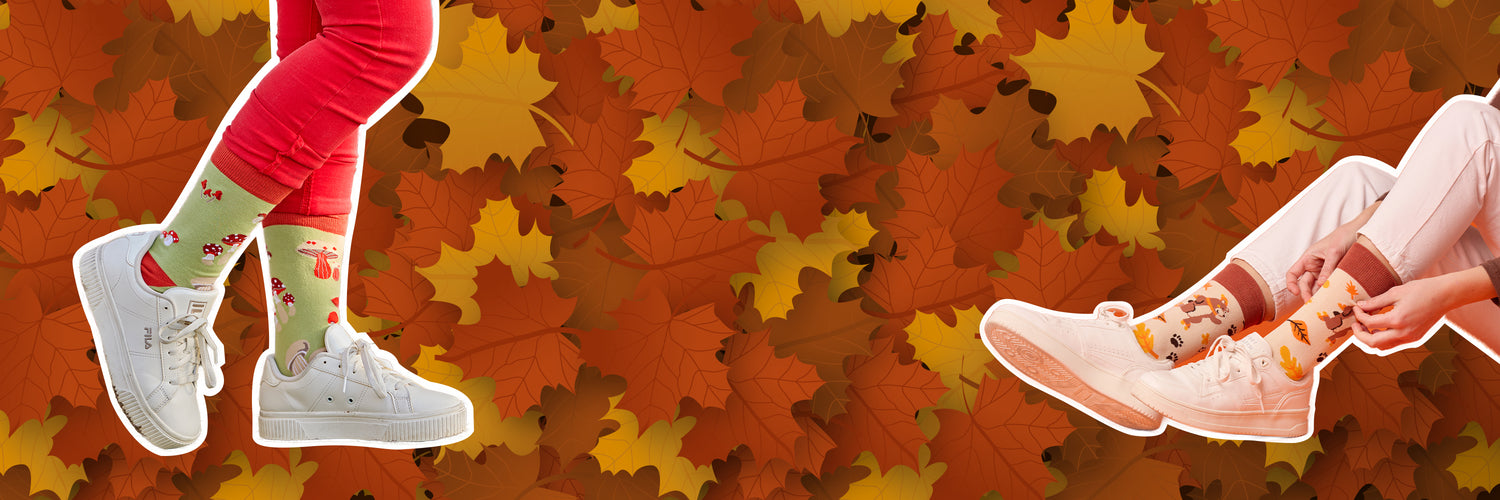 collection-banner-image