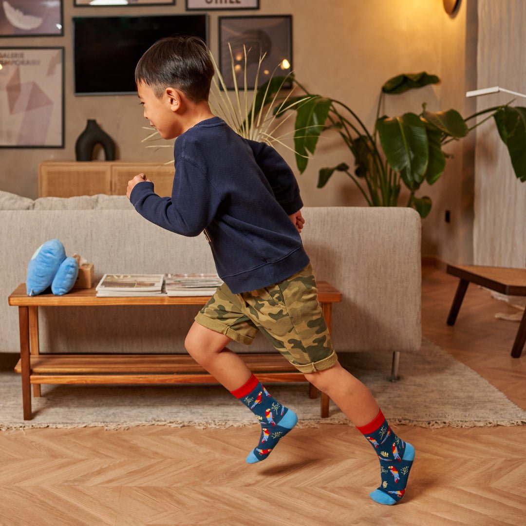 Calcetines divertidos de algodón para niño, resistentes y originales "Loros"-Kylie Crazy