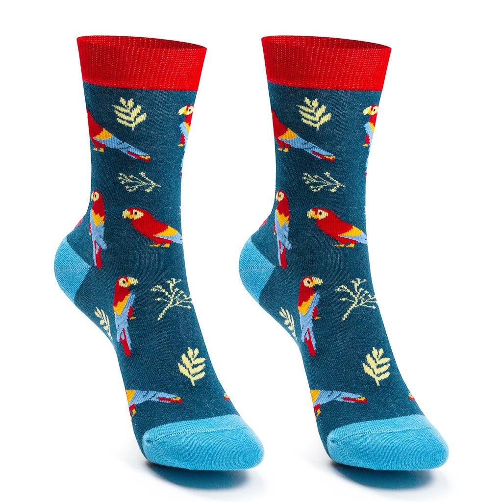 Calcetines divertidos de algodón para niño, resistentes y originales "Loros"-Kylie Crazy