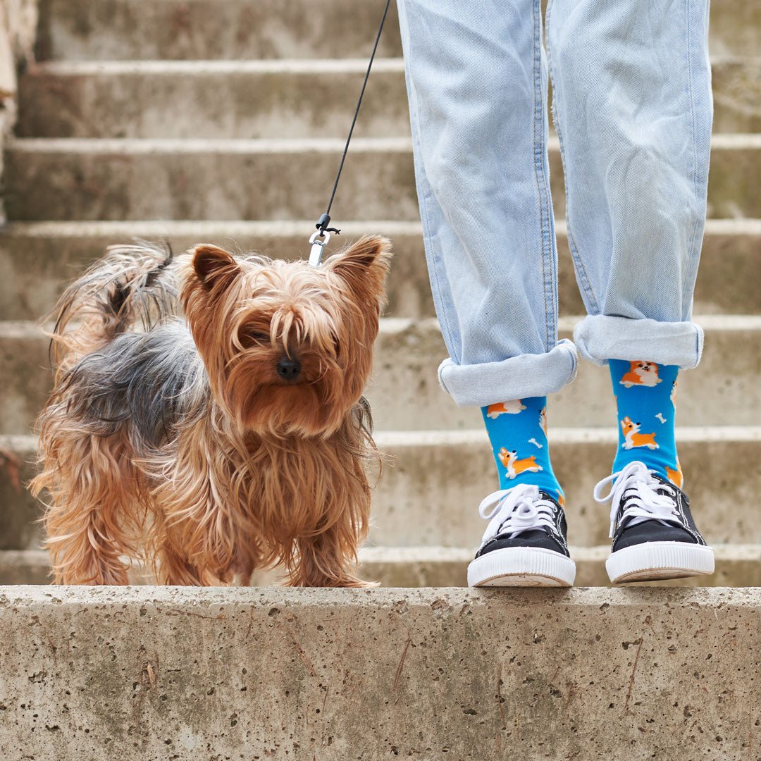 Calcetines invisibles "Doggy", frescos y divertidos-Kylie Crazy