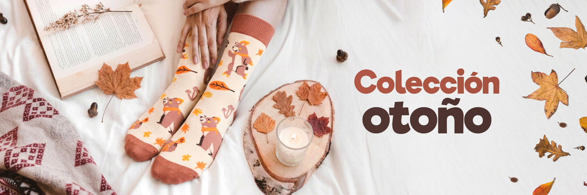 collection-banner-image
