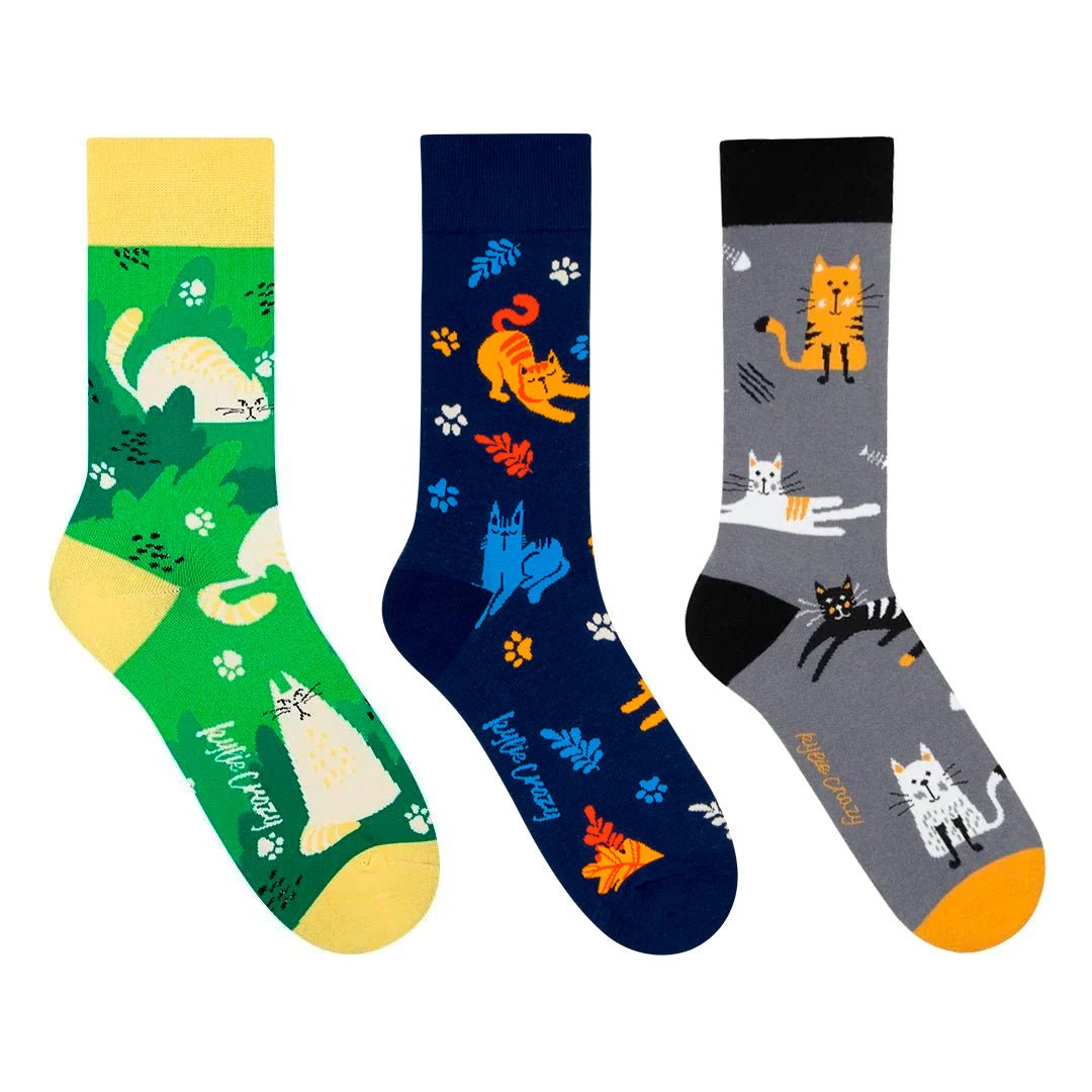 Original pack regalo con 3 pares diferentes de calcetines + cajita regalo GATOS - Kylie Crazy