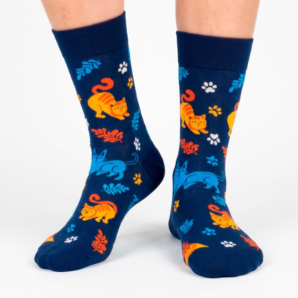 Original pack regalo con 3 pares diferentes de calcetines + cajita regalo GATOS-Kylie Crazy